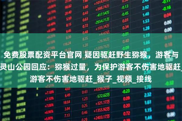 免费股票配资平台官网 疑因驱赶野生猕猴，游客与工作人员冲突 黔灵山公园回应：猕猴过量，为保护游客不伤害地驱赶_猴子_视频_接线